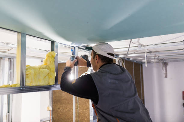 Best Specialized Insulation Services in Gasport, NY