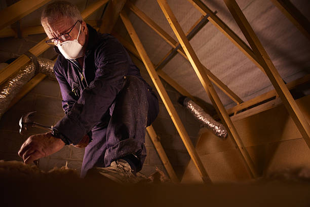 Best DIY Insulation Kits and Guidance in Gasport, NY